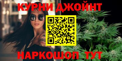 шишки Шебекино
