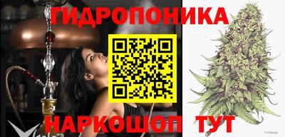 метадон Шелехов