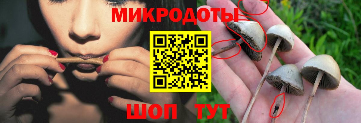 Псилоцибиновые грибы GOLDEN TEACHER Аргун